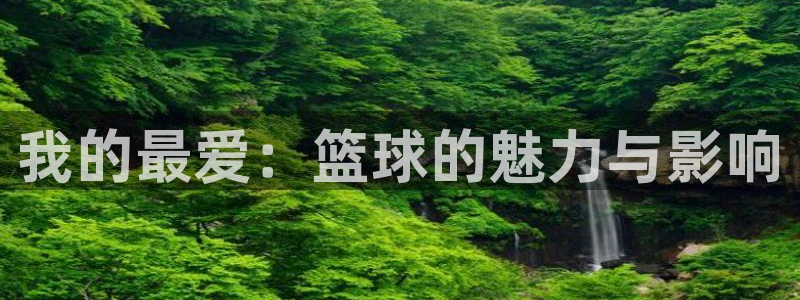 米兰体育官方正版app集团官网首页：我的最爱：篮球的