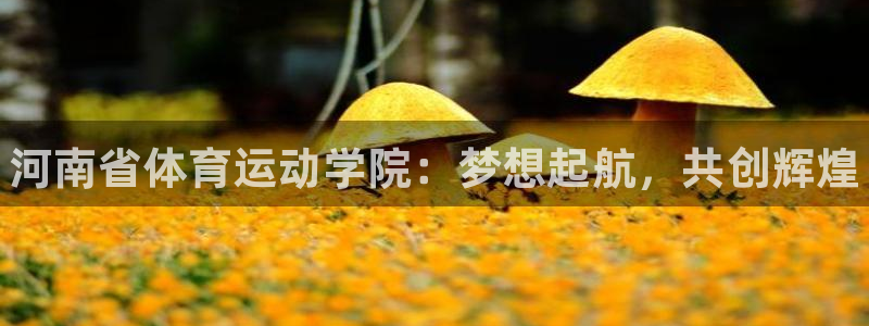 米兰体育官网下载平台APP：河南省体育运动学院：梦想