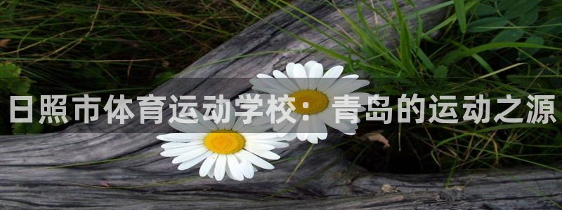 米兰体育官方正版app集团logo：日照市体育运动学