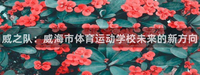 海南米兰体育官网下载：威之队：威海市体育运动学校未来