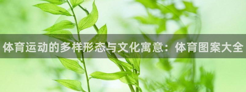 米兰体育官方正版app神州：体育运动的多样形态与文化寓意：体