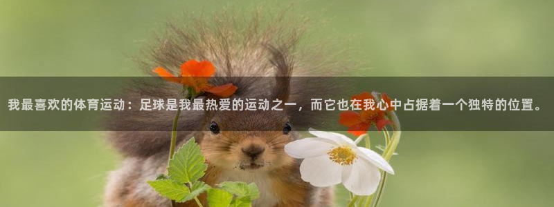 米兰体育官方正版app娱乐下载：我最喜欢的体育运动：