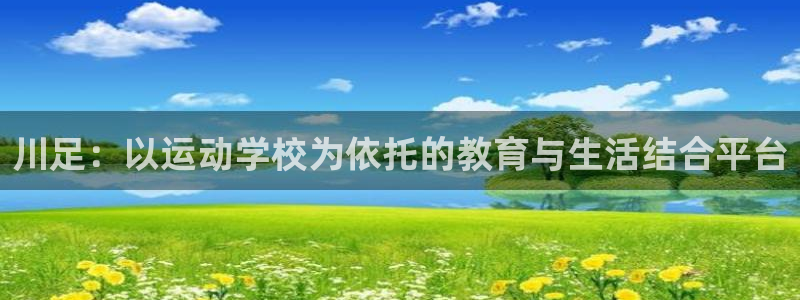米兰体育官方正版app集团E.ON：川足：以运动学校