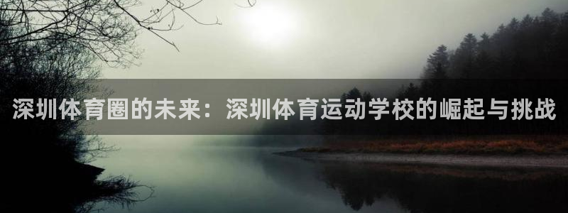 米兰体育官方正版app集团官网首页网址：深圳体育圈的未来：深