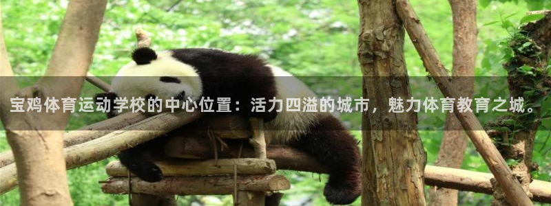 米兰体育官网下载平台假的吗是真的吗