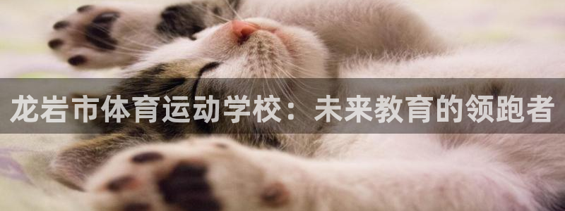 米兰体育官方正版app神州：龙岩市体育运动学校：未来教育的领