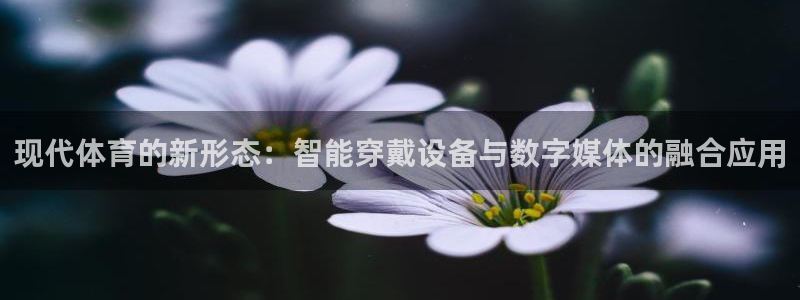 米兰体育官网下载招商电话号码查询是多少：现代体育的新形态：智