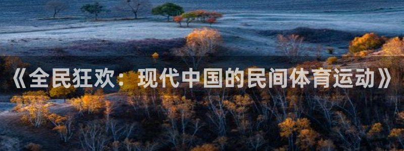 米兰体育官网下载招商电话是多少号码:《全民狂欢:现代中国的民