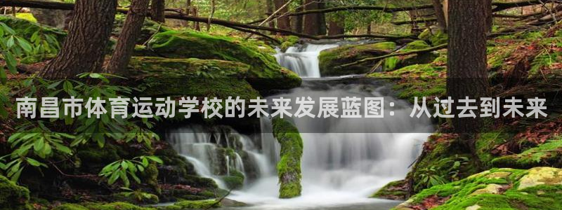 米兰体育官方正版app集团简介：南昌市体育运动学校的未来发展